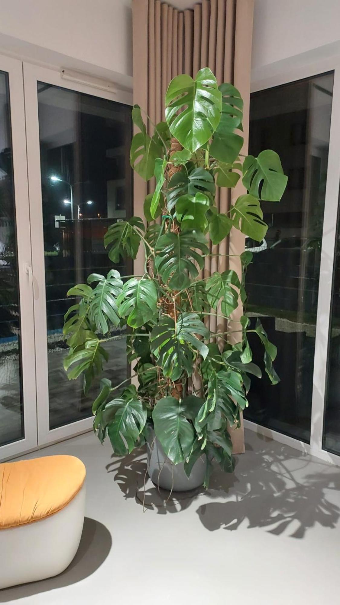 Premium Apartment Eleven 扎托尔 外观 照片